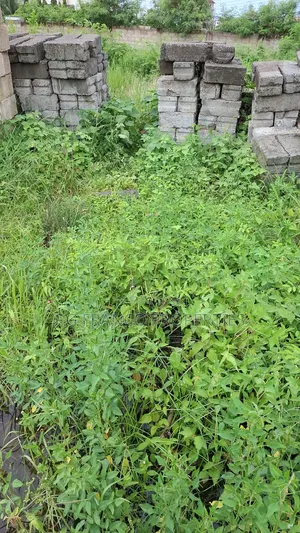 Two Endhalf Plots of Land for Sale at Airport