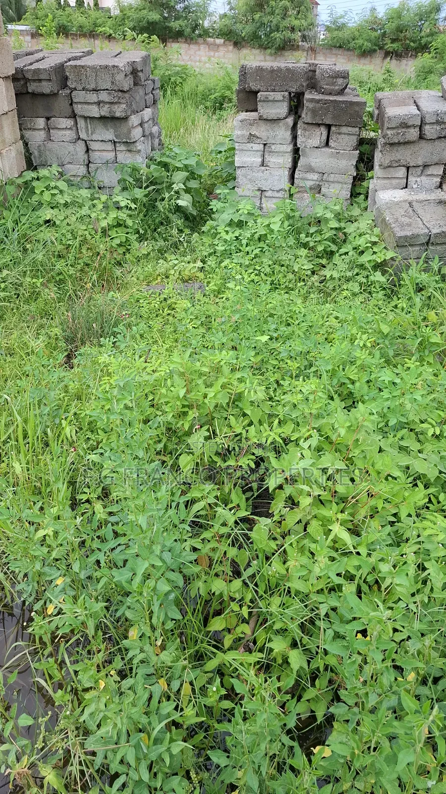 Two Endhalf Plots of Land for Sale at Airport