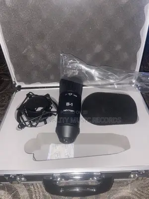 Behringer B-1 Large Diaphragm