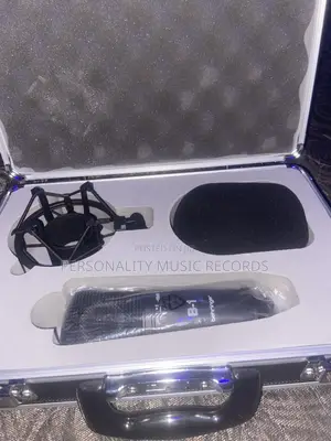 Behringer B-1 Large Diaphragm