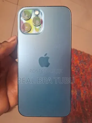 Apple iPhone 12 Pro Max 256 GB Gray