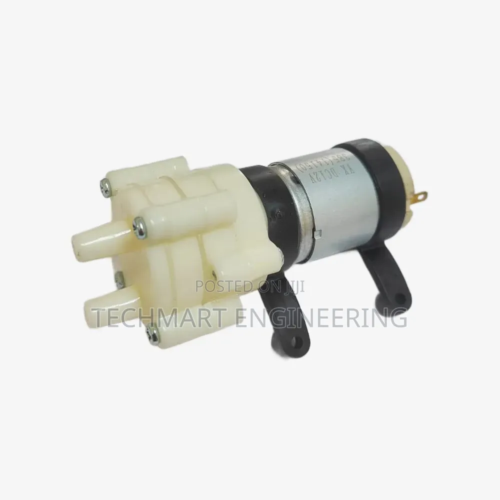 R385 12v Water Pump
