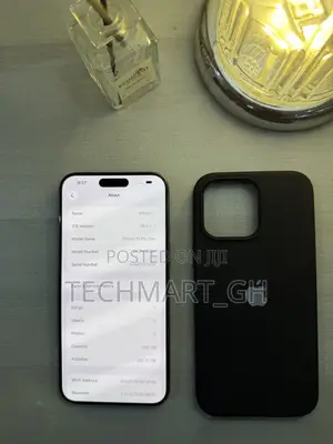 Apple iPhone 15 Pro Max 256 GB Silver