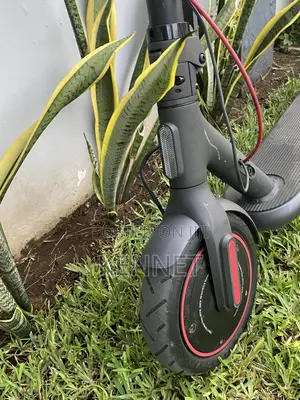 Eletric Scooter
