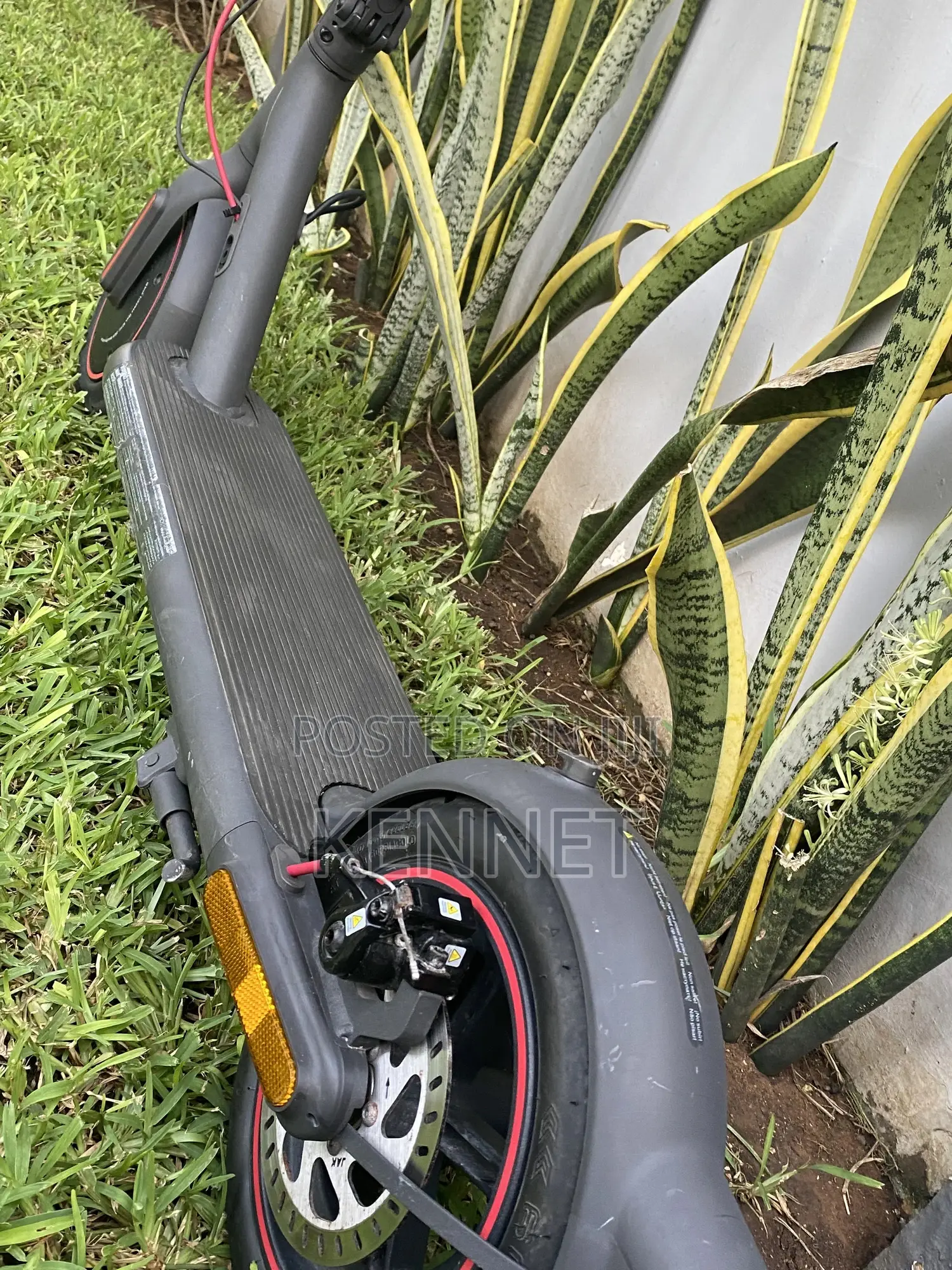 Eletric Scooter