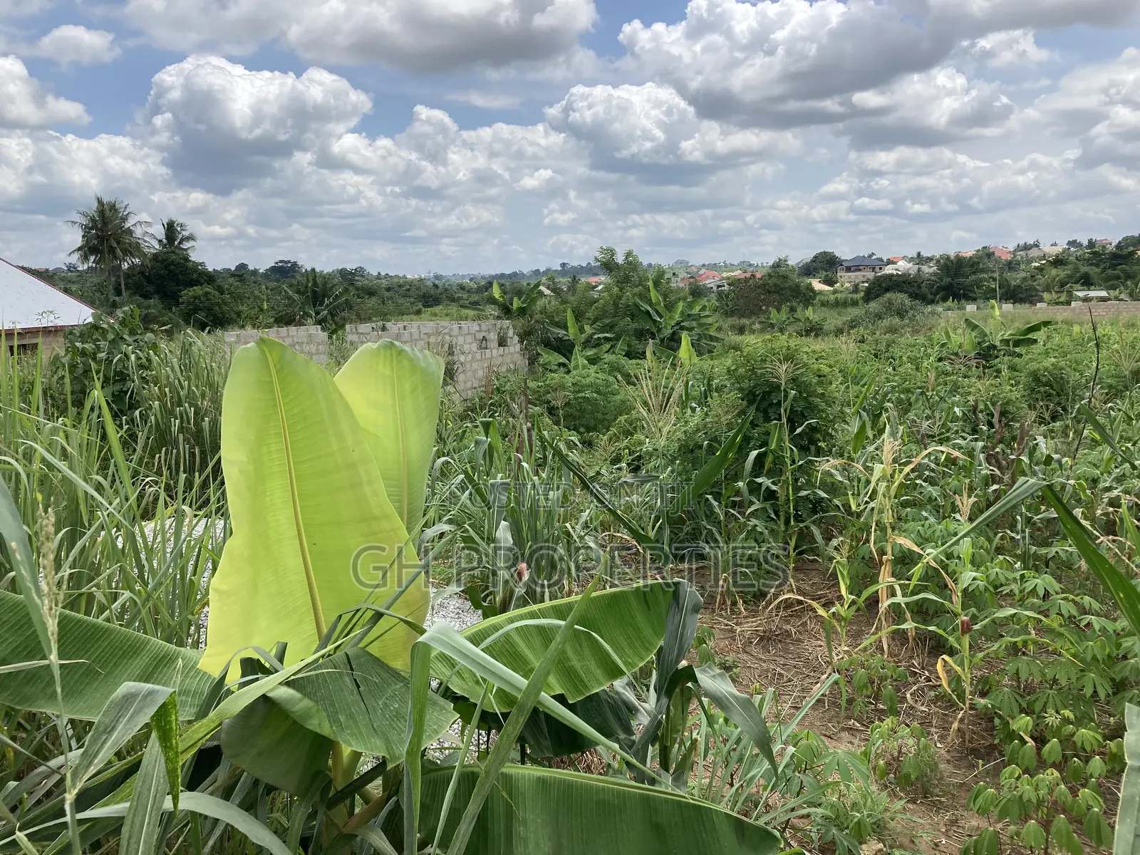 1 Plot for Sale at Trade Konkoli.2 Minutes Walk to Main Road.