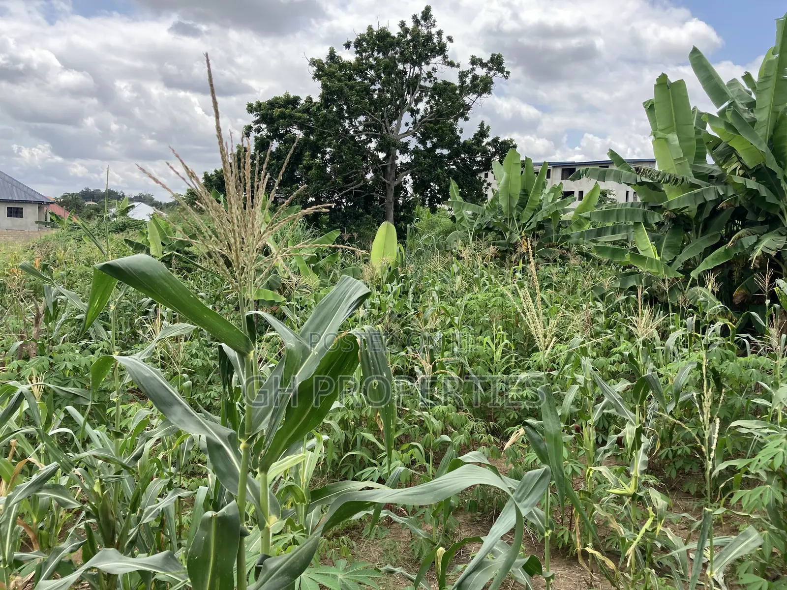 1 Plot for Sale at Trade Konkoli.2 Minutes Walk to Main Road.