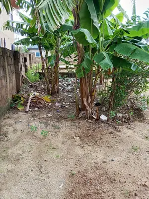 80/100 Land for Sale at Ablekuma
