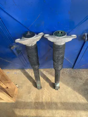Santa Fe 2018/19/20 Back Shocks
