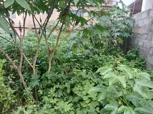 Quarter Plot for Sale