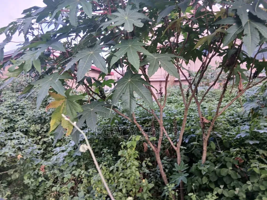 Quarter Plot for Sale