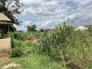 One Plot for Sale at Kwanwoma Duropem Main Road.