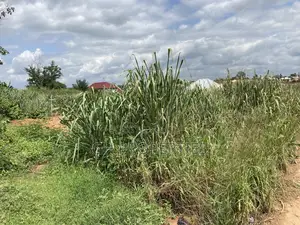 One Plot for Sale at Kwanwoma Duropem Main Road.