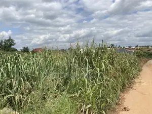 One Plot for Sale at Kwanwoma Duropem Main Road.