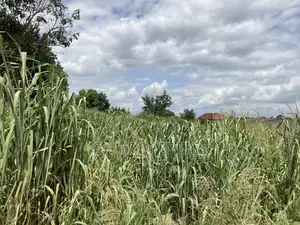 One Plot for Sale at Kwanwoma Duropem Main Road.