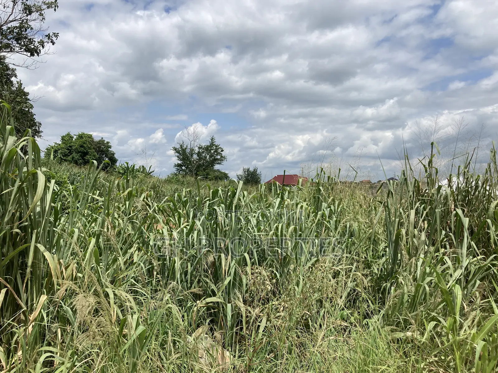 One Plot for Sale at Kwanwoma Duropem Main Road.