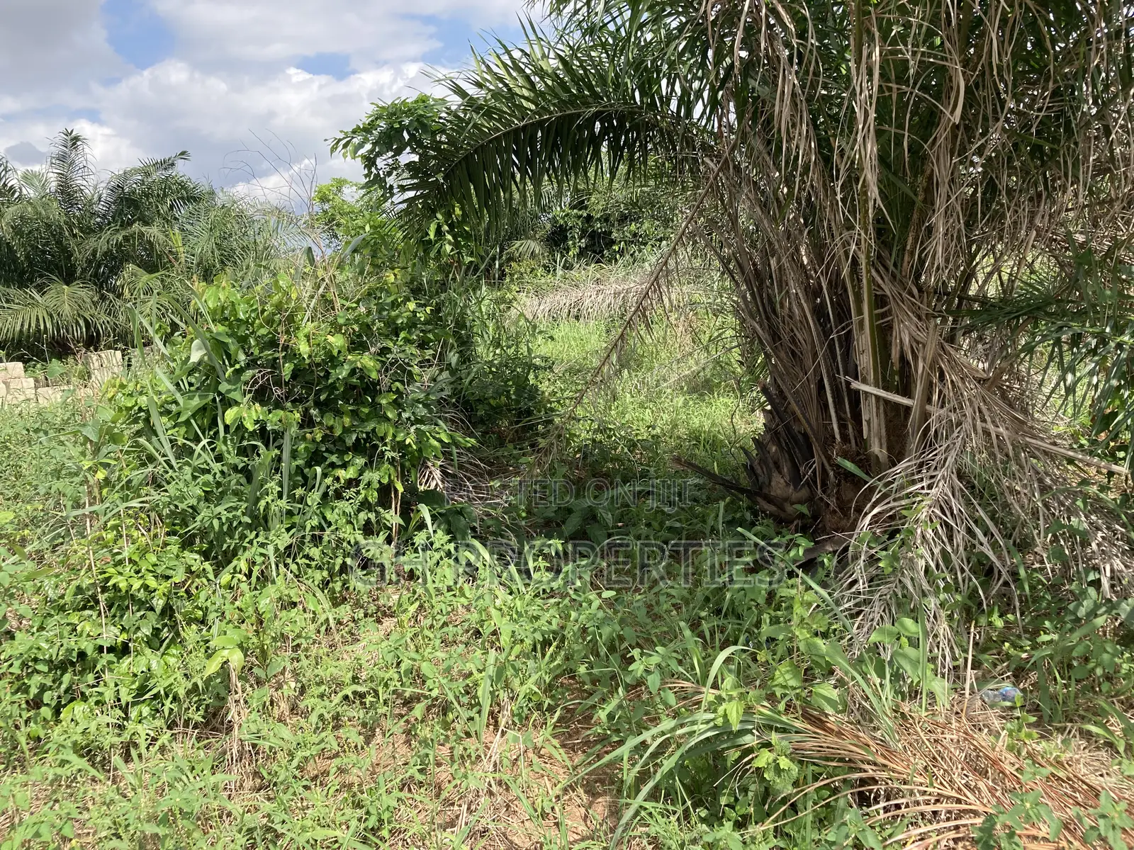 Half Plot for Sale at Sokoban, Ampaame Hills