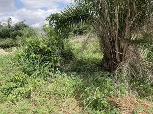 Half Plot for Sale at Sokoban, Ampaame Hills