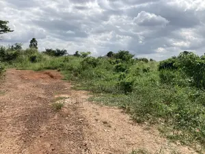 Half Plot for Sale at Sokoban, Ampaame Hills