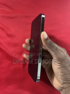 Apple iPhone 13 Pro Max 128 GB Gray