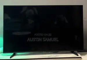 Samsung 55 Inch