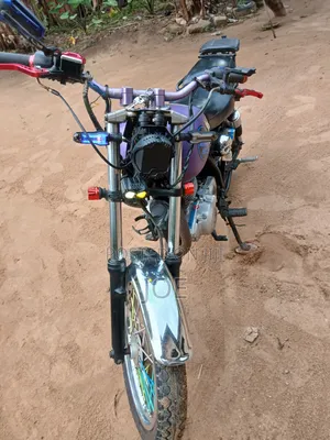 Suzuki 2010 Purple