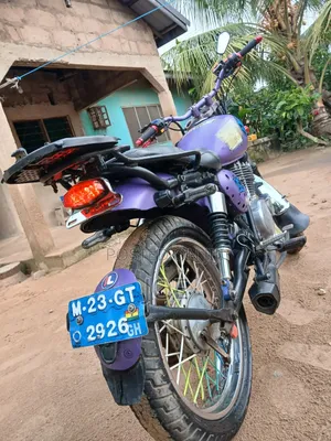 Suzuki 2010 Purple