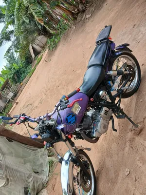 Suzuki 2010 Purple