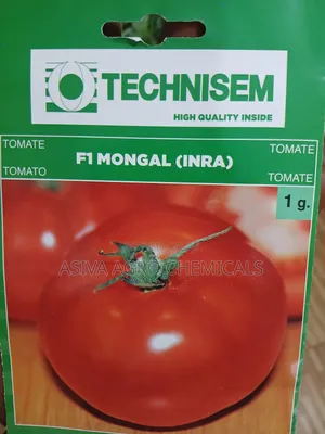 F1 Mongal Tomato Seeds.