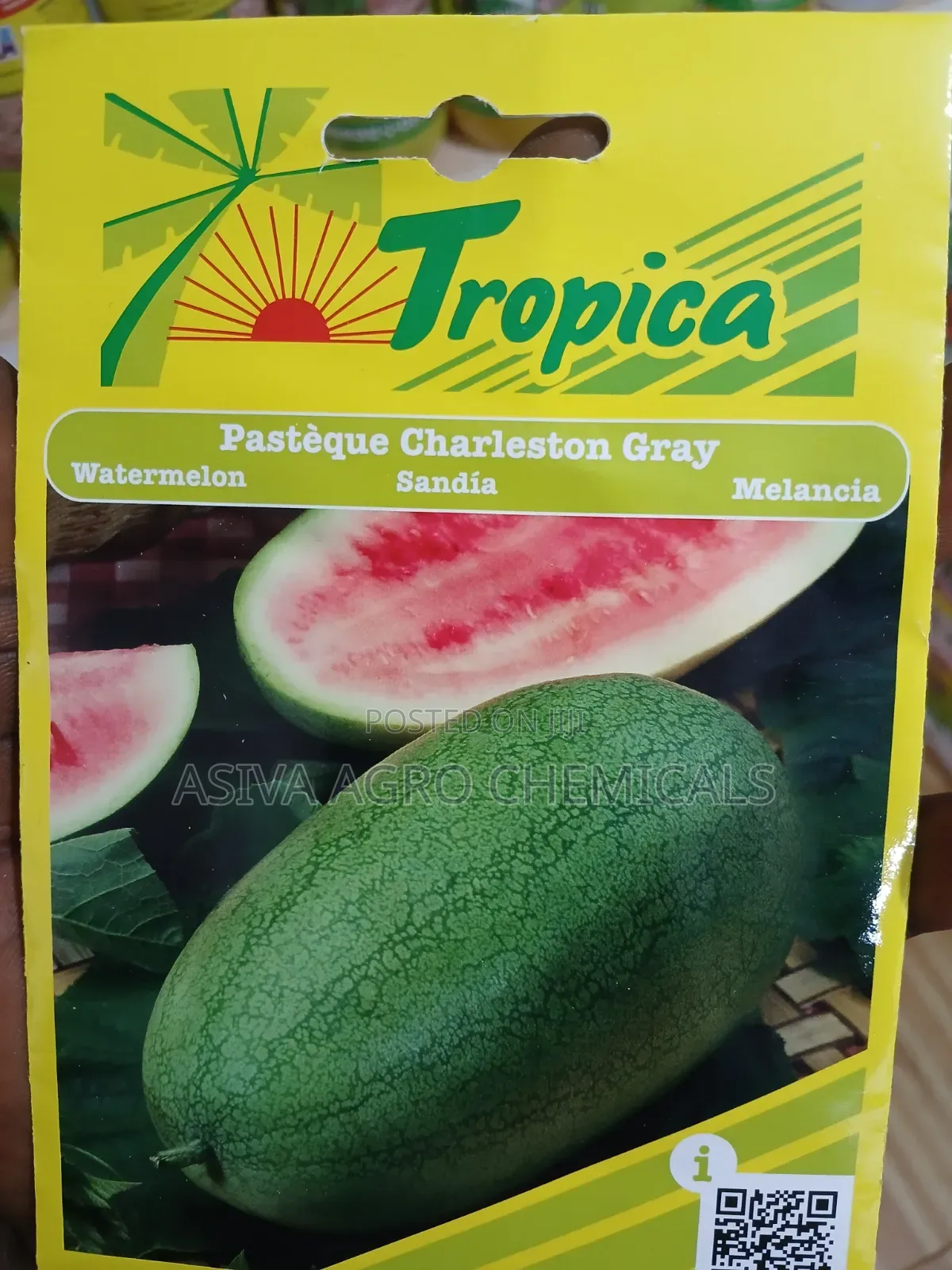 Watermelon Charleston Gray Seeds