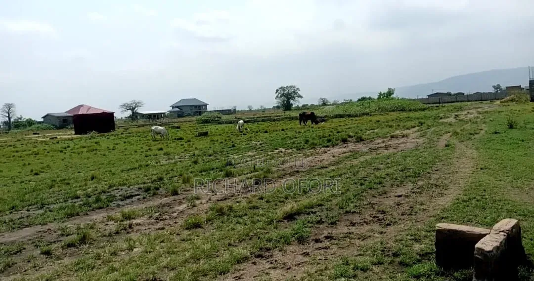 1 Plot of Land for Sale