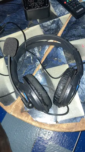 Headset With Mic