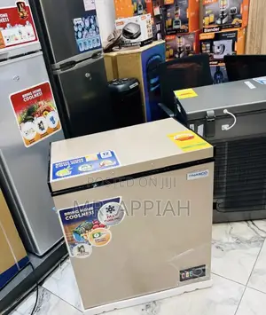 Efficient Nasco Single Door Chest Freezer(Gold)Nas200fl 
