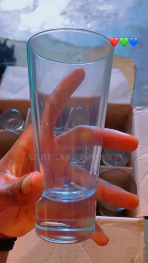 Bormioli Rocco Beer Glass Cups