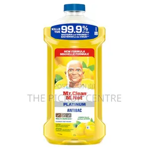 Mr. Clean Antibacterial Multi-Surface Cleaner (1.21 L)