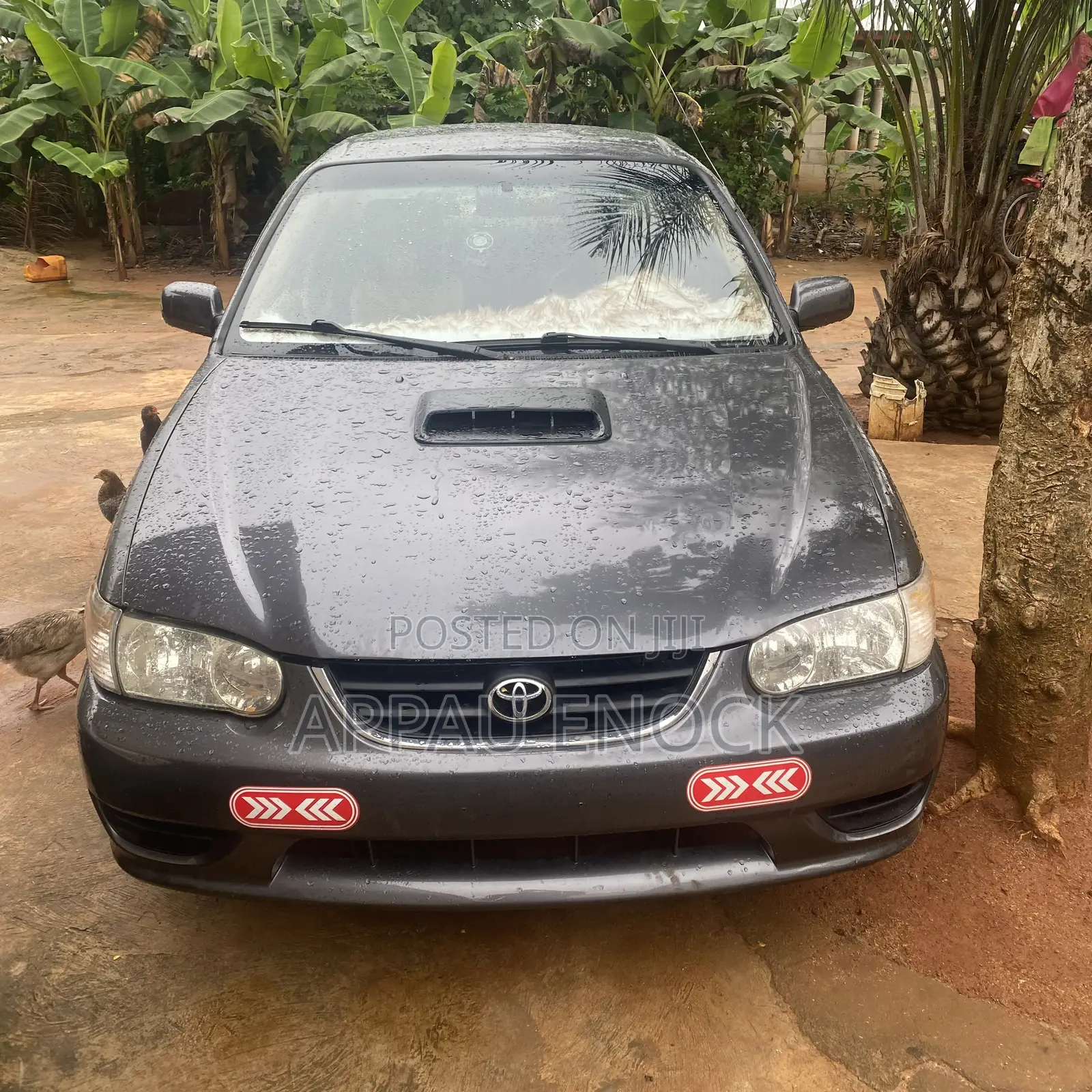 Toyota Corolla 2007 Gray