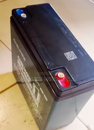 Lead Acid Battery for E-Bike