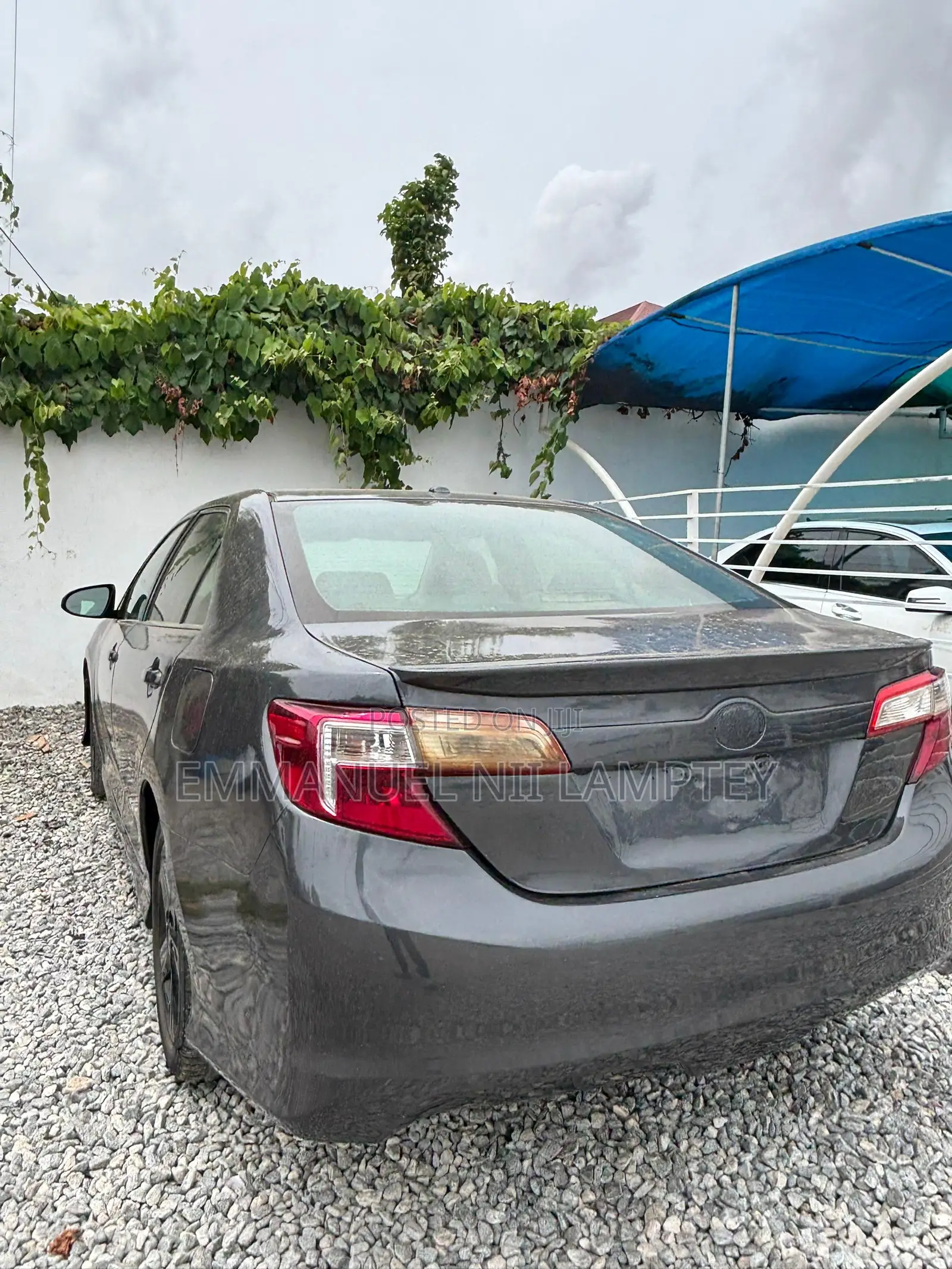 Car Rentals Blue Accord , CRV White , Black Elantra , Camry Spider