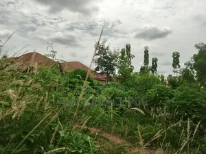 Plot at Airport