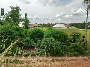 Plot at Airport