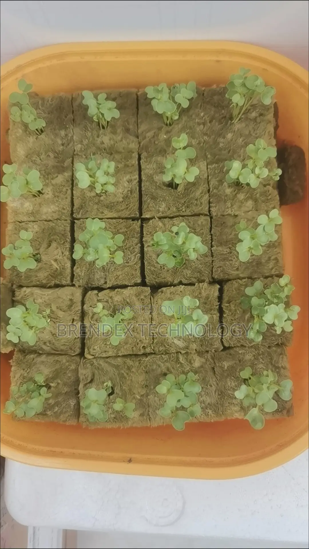 All-in-One Smart Hydroponic Towers for Vertical Farming - 16 Pot Model