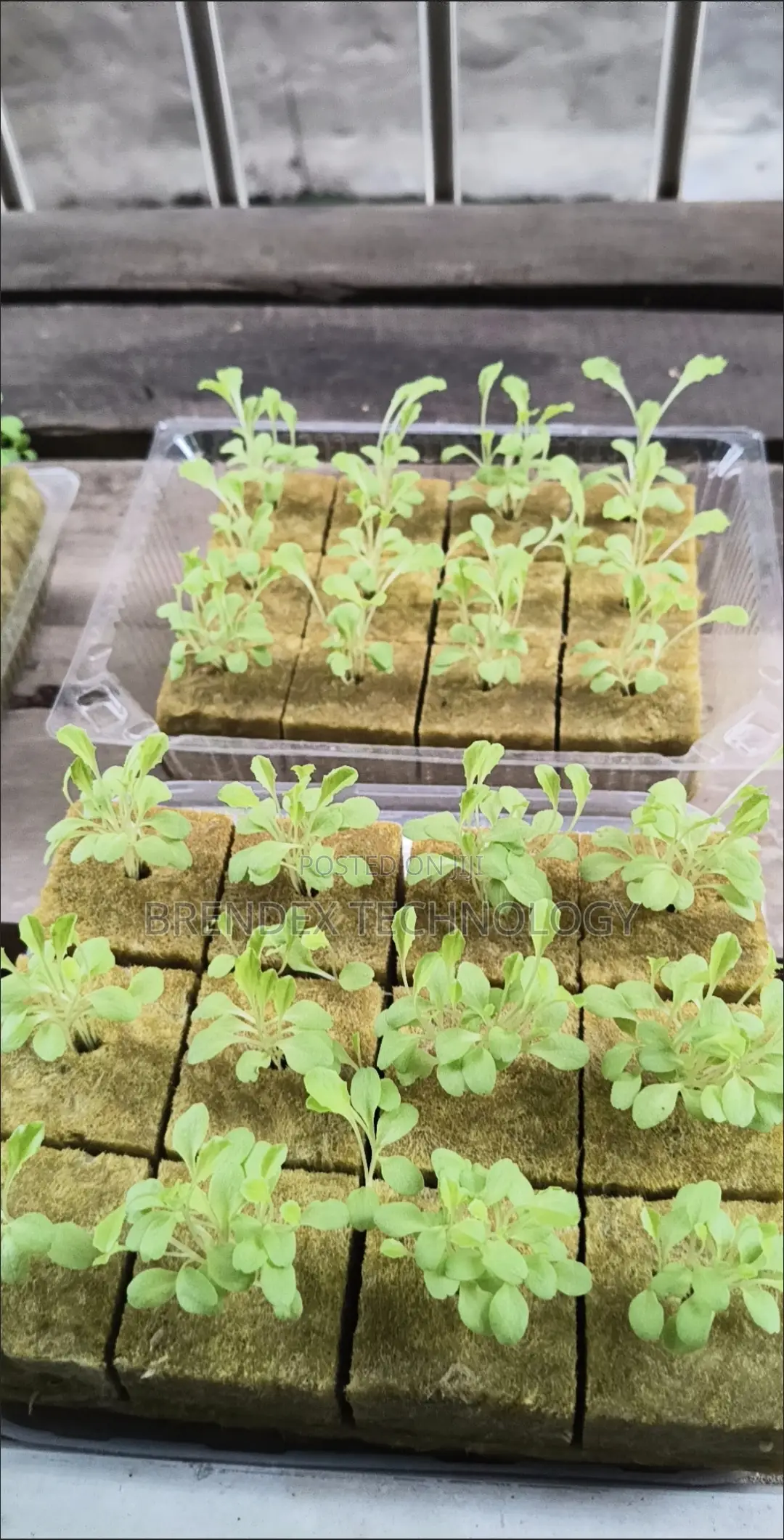 All-in-One Smart Hydroponic Towers for Vertical Farming - 16 Pot Model