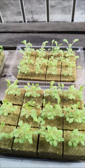All-in-One Smart Hydroponic Towers for Vertical Farming - 16 Pot Model