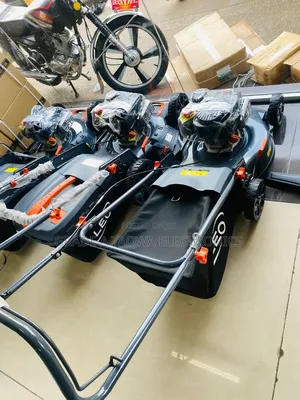 Mowing With Ease,Leo 4hp Lawn Mowers