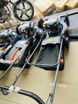 Lasting Leo 4hp Lawn Mower