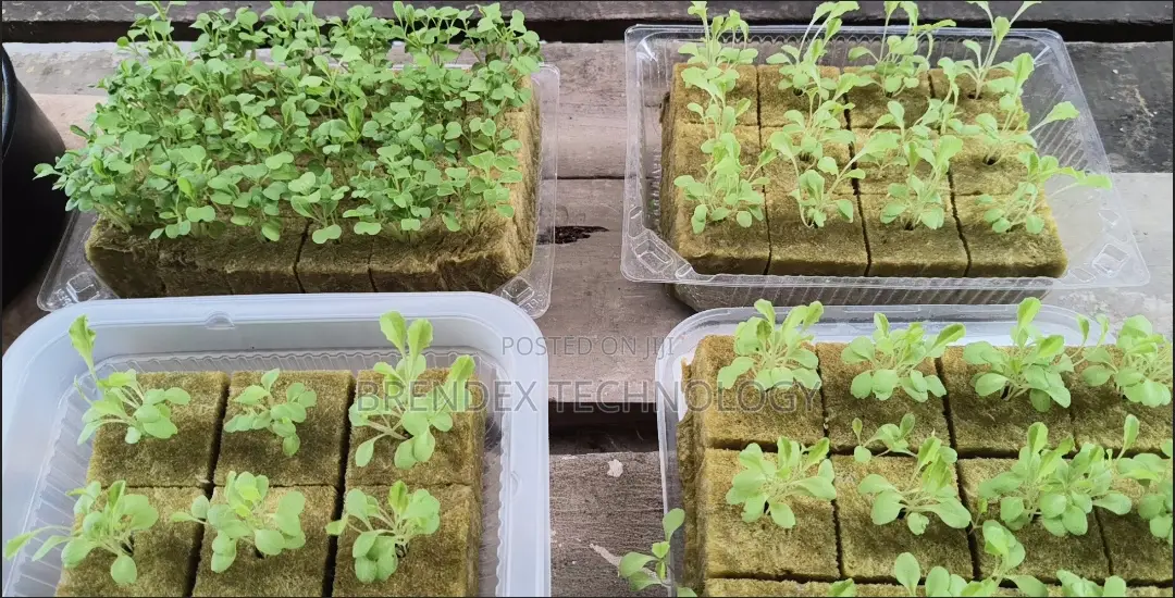 All-in-One Smart Hydroponic Towers for Vertical Farming 25 Pot Model
