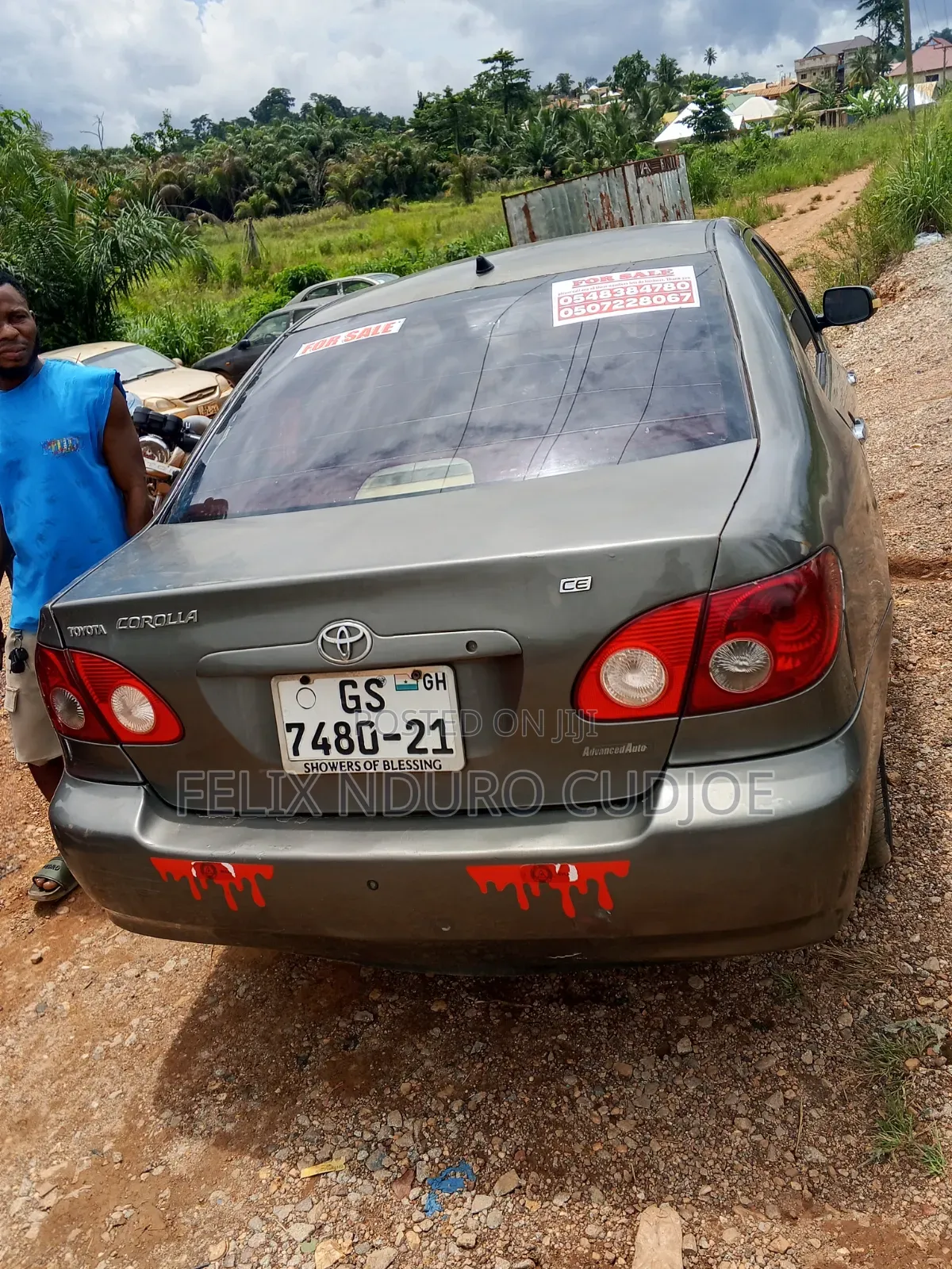 Toyota Corolla 2009 Gray