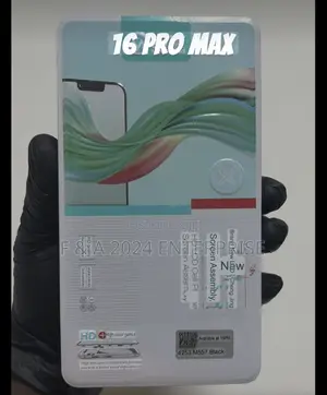 16 Pro Max Display Screen Available