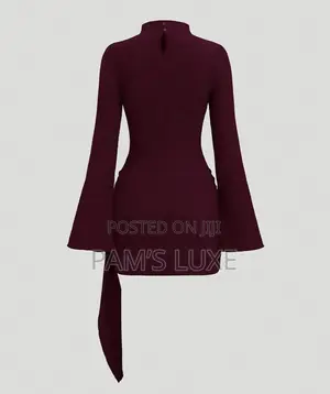Turtle Neck Draped Mini Dress