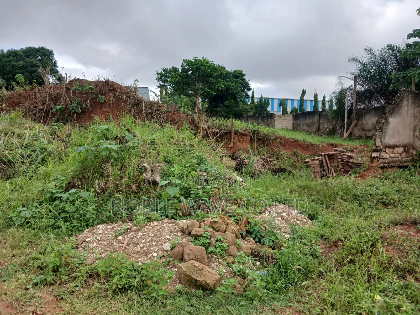 Plot of Land for Rent at Daban